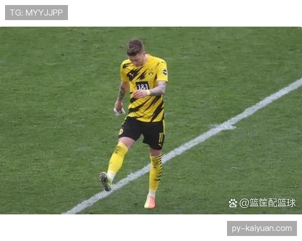 伊萨克与哈兰德同代中锋潜力差距的关键制约因素解析